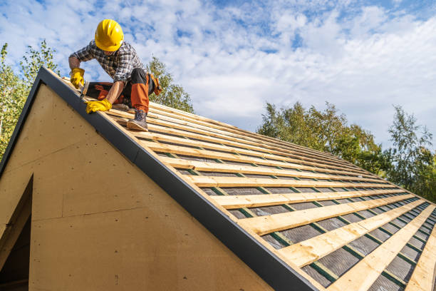 Best Storm Damage Roof Repair  in Whitney, NV